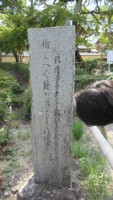 IMG_0080