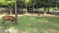 IMG_0113