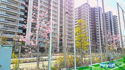 WIN_20260227_12_58_41_Pro